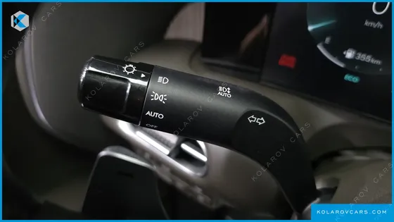 HYUNDAI PALISADE HEV 2.5T 4WD 9-SEATER