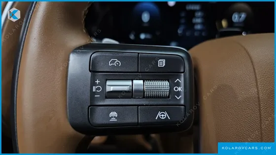 HYUNDAI PALISADE GASOLINE 2.5T 4WD 9-SEATER