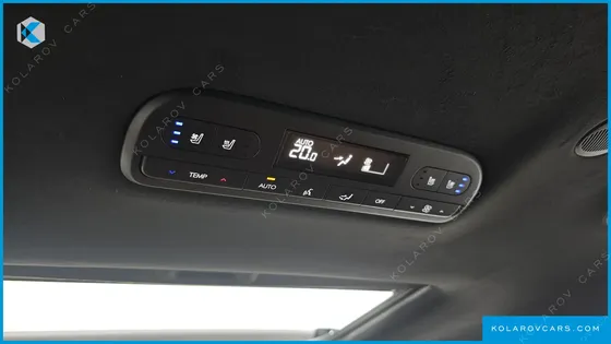 HYUNDAI PALISADE HEV 2.5T 4WD 9-SEATER