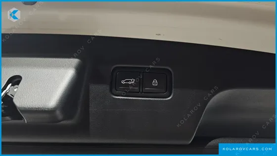 HYUNDAI PALISADE HEV 2.5T 4WD 9-SEATER