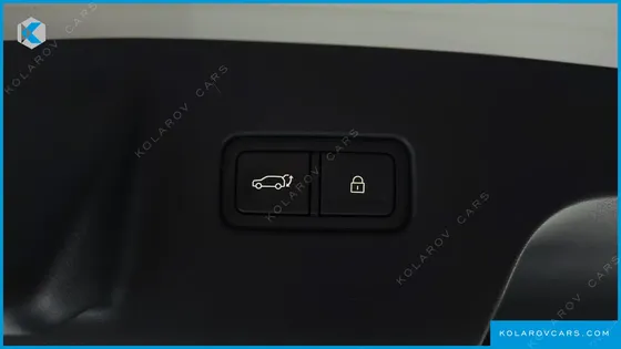 HYUNDAI PALISADE GASOLINE 2.5T 2WD 9-SEATER