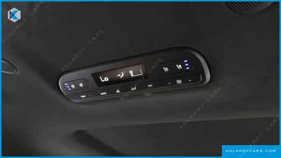 HYUNDAI PALISADE HEV 2.5T 4WD 7-SEATER