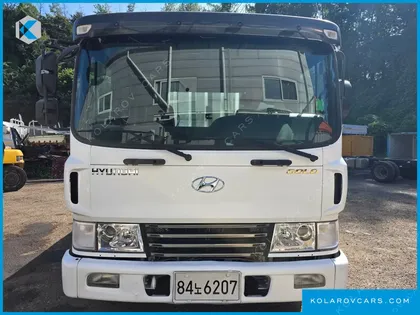 HYUNDAI MEGA TRUCK GOLD