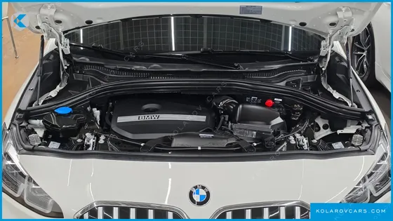 BMW 2 SERIES 220I LUXURY