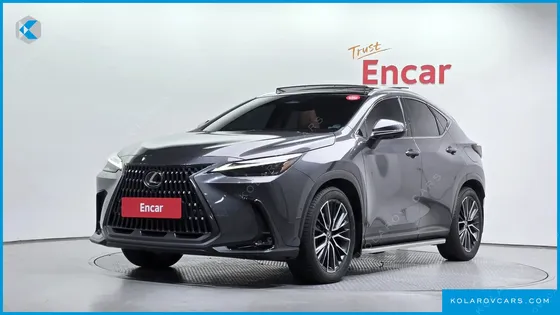 LEXUS NX LUXURY