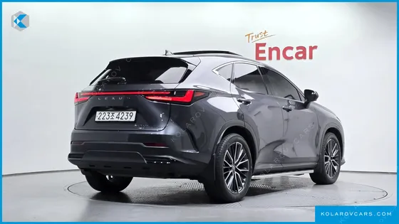 LEXUS NX LUXURY
