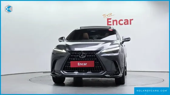 LEXUS NX LUXURY
