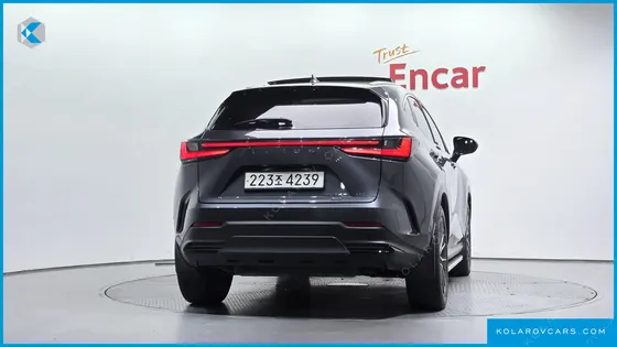 LEXUS NX LUXURY