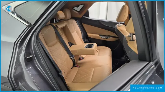 LEXUS NX LUXURY