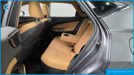 LEXUS NX LUXURY