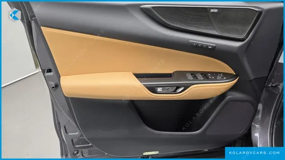 LEXUS NX LUXURY