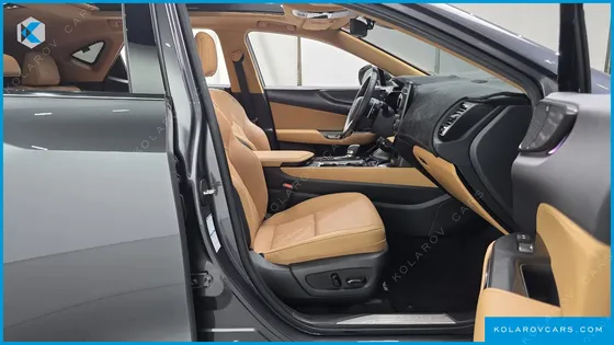 LEXUS NX LUXURY