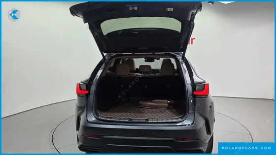 LEXUS NX LUXURY