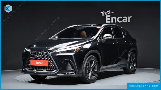 LEXUS NX PREMIUM