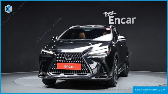 LEXUS NX PREMIUM