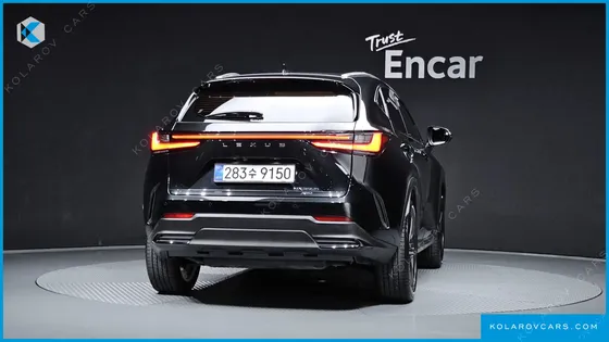 LEXUS NX PREMIUM