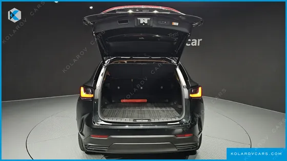 LEXUS NX PREMIUM