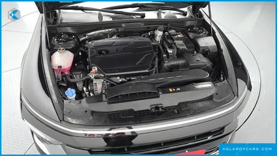 HYUNDAI SONATA 2.0 LPG(RENT)