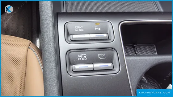 HYUNDAI SONATA 2.0 LPG(DISABLED)