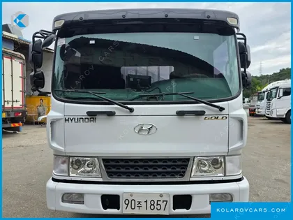 HYUNDAI MEGA TRUCK GOLD