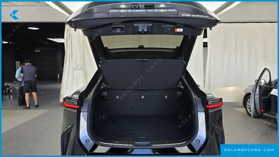 LEXUS RZ LUXURY