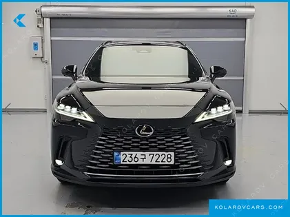 LEXUS RX LUXURY