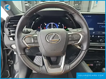 LEXUS RX LUXURY