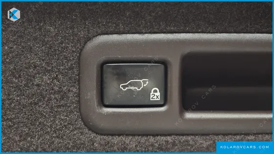 LEXUS RX EXECUTIVE
