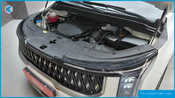 KIA CARNIVAL DIESEL 9-SEATER NOBLESSE