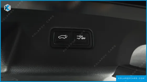 KIA CARNIVAL GASOLINE 9-SEATER NOBLESSE