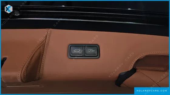 KIA CARNIVAL HEV 9-SEATER HI-LIMOUSINE (SPECIAL VEHICLE)