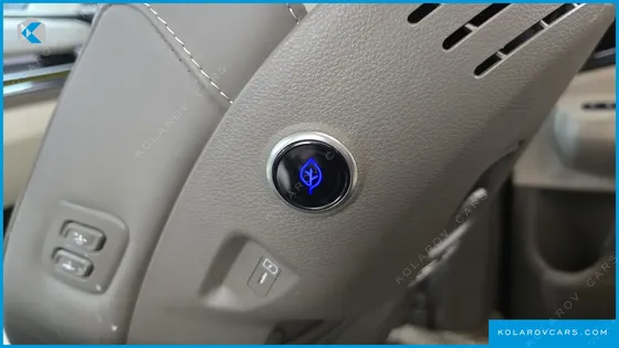 KIA CARNIVAL HEV 9-SEATER HI-LIMOUSINE