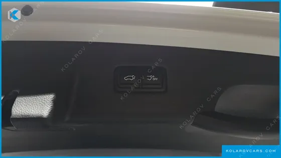 KIA CARNIVAL GASOLINE 9-SEATER PRESTIGE