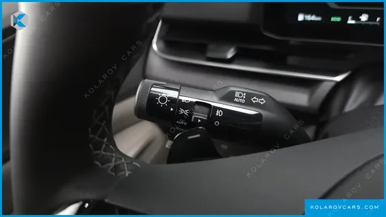 KIA CARNIVAL GASOLINE 9-SEATER PRESTIGE