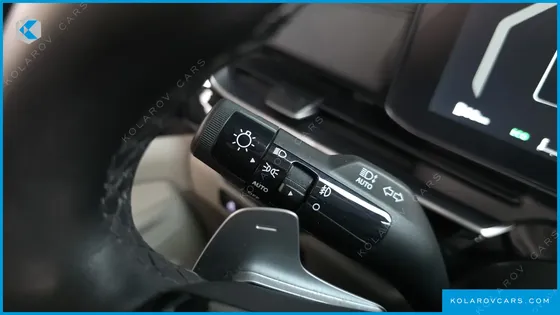 KIA CARNIVAL GASOLINE 9-SEATER GRAVITY
