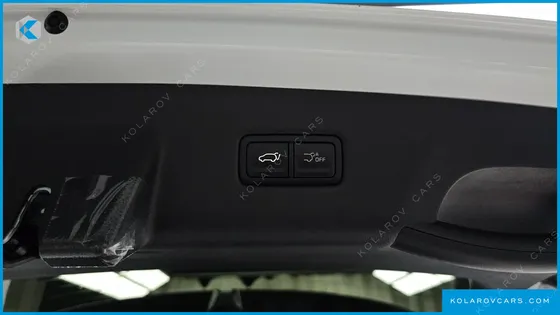 KIA CARNIVAL HEV 9SEATER NOBLESS