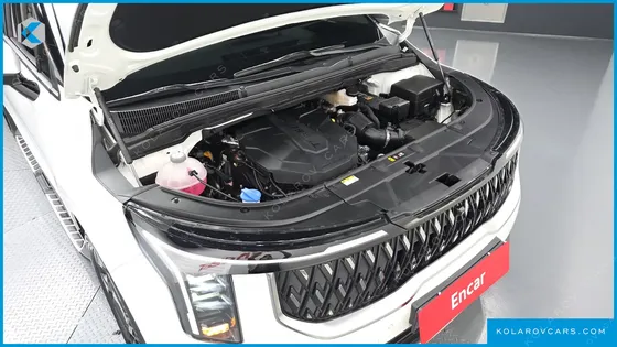 KIA CARNIVAL DIESEL 7-SEATER OUTDOOR