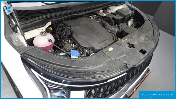 KIA CARNIVAL GASOLINE 9-SEATER NOBLESSE
