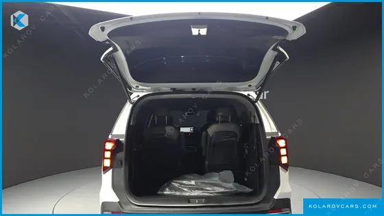 KIA CARNIVAL GASOLINE 9-SEATER NOBLESSE