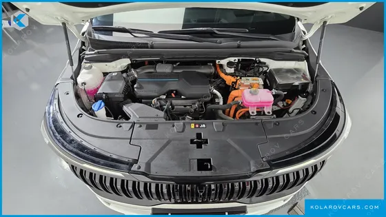 KIA CARNIVAL HEV 9-SEATER HI-LIMOUSINE (SPECIAL VEHICLE)