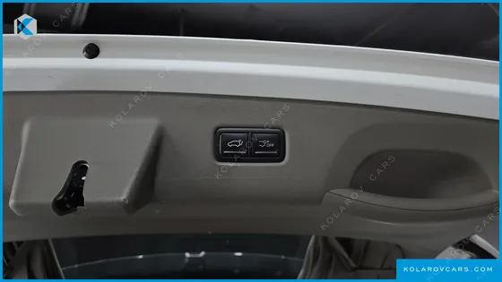 KIA CARNIVAL GASOLINE 9-SEATER HI LIMOUSINE