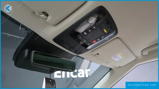 KIA CARNIVAL GASOLINE 9-SEATER HI LIMOUSINE