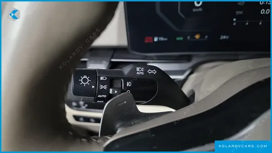 KIA CARNIVAL GASOLINE 9-SEATER HI LIMOUSINE