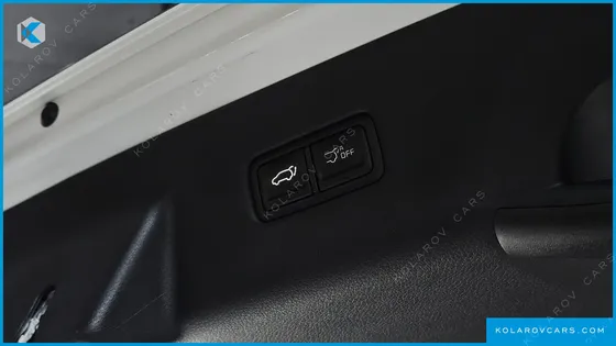 KIA CARNIVAL DIESEL 9-SEATER SIGNATURE
