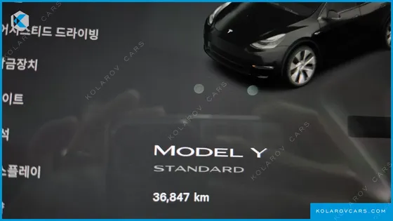 TESLA MODEL Y STANDARD RANGE RWD