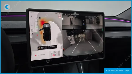 TESLA MODEL Y RWD
