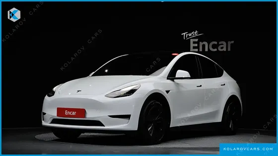 TESLA MODEL Y RWD