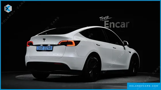 TESLA MODEL Y RWD