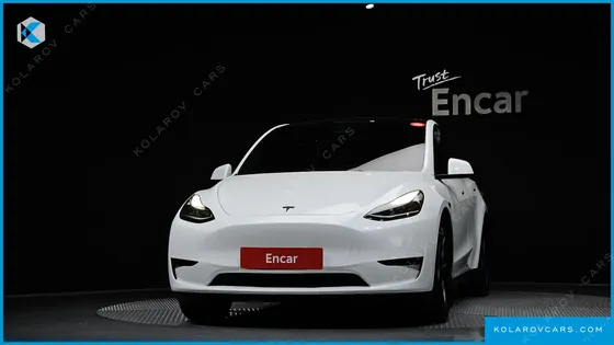 TESLA MODEL Y RWD
