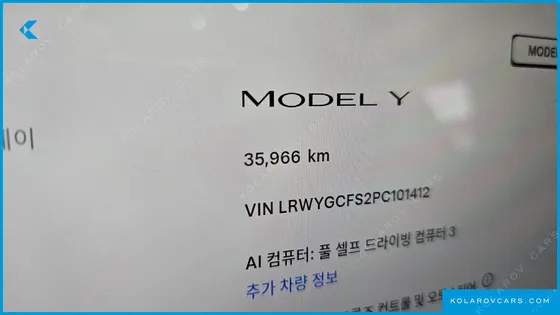 TESLA MODEL Y RWD